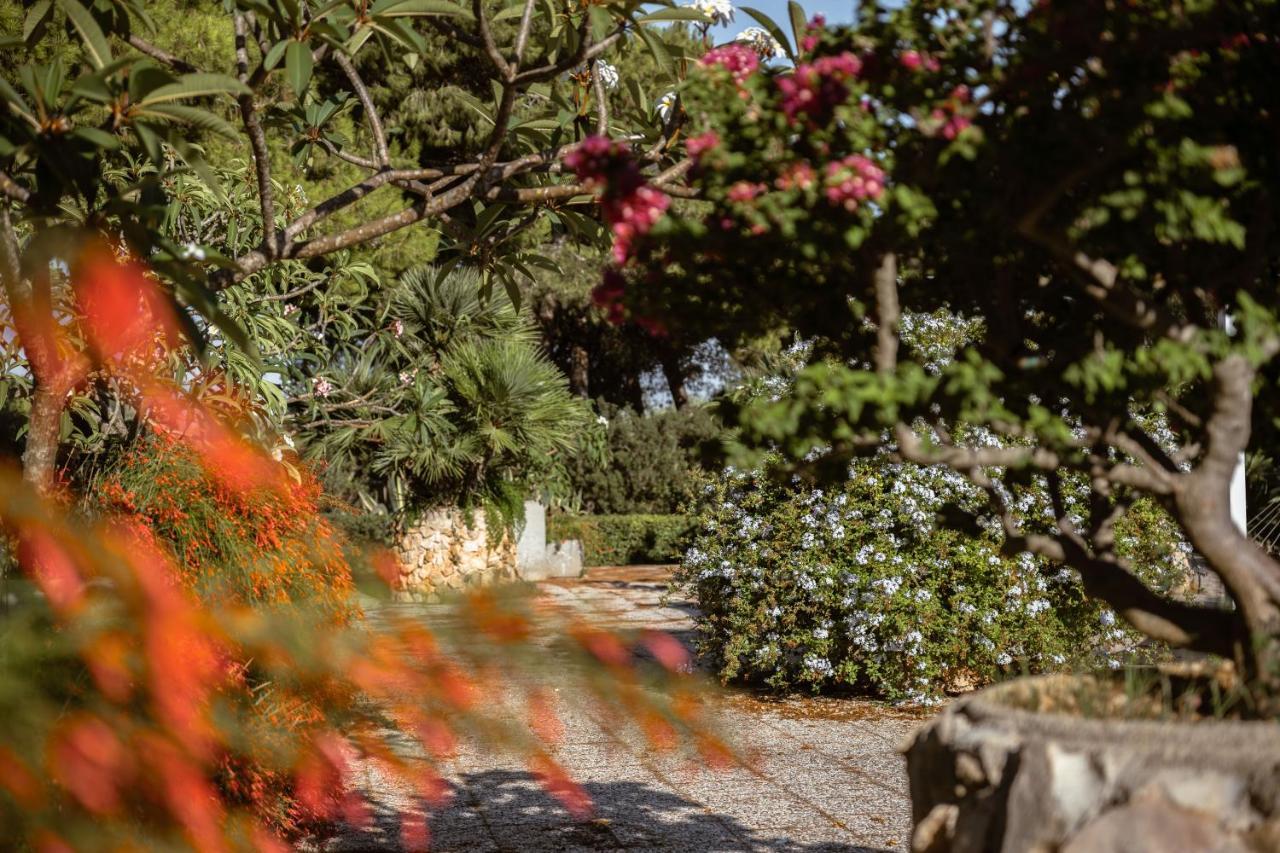 Giardino Dell'Impossibile Di Antonino Campo Daire Favignana Dış mekan fotoğraf