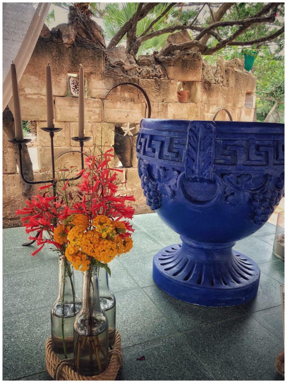 Giardino Dell'Impossibile Di Antonino Campo Daire Favignana Dış mekan fotoğraf